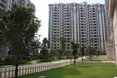 二、 交通便利性与居住质量的关联分析