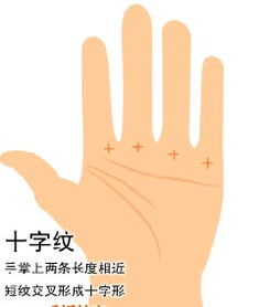 手掌纹看感情运势，没有事业纹预示着什么？