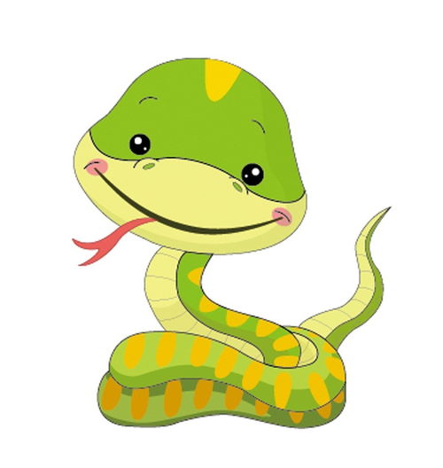 浩字取名与生肖相冲，指什么生肖？其吉凶如何解释？