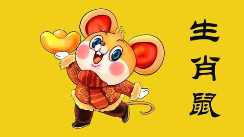 十二生肖运势大排行具体解读是什么？