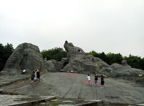 Day3：城墙+碑林，  在“古城墙上骑车”比“看表演”更西安
