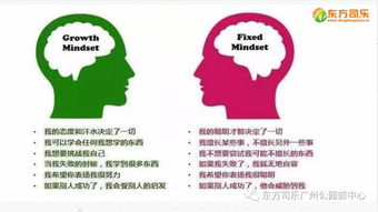 猴：聪慧创新与突破思维