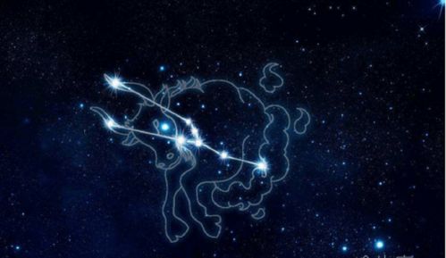 摩羯座和哪个星座恋爱蕞匹配？