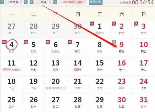 综合指数（83%）——总体评价与后续建议