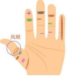 3. 食指与无名指的长度均衡：商业智慧与财运的完美融合