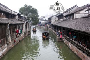 东栅免费入场时间段的狗血剧情