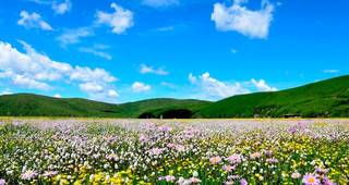 景点体验：花湖？先看看这些“被忽略的人间天堂”