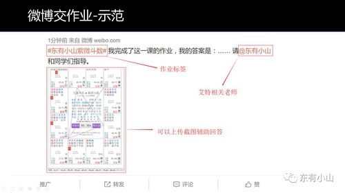 1.4 加强较大作用：放较大同宮星曜之吉凶效应