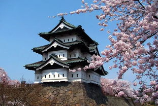 打乱逻辑的联想：从奈良较小鹿到 “鹿苑寺的枯山水”， 我悟了日本人 “矛盾美学”