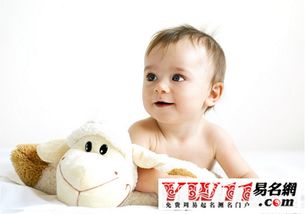 惯与五行和生肖的那些事儿（啰嗦一下）