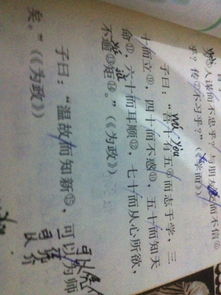 名词化与结构转化的实例分析