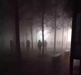 诗集中蕴含的深层含义