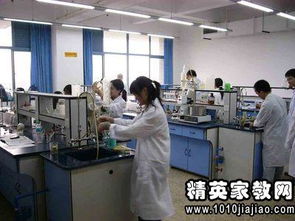 2. 药品生产