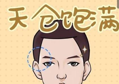 天庭饱满与天仓丰隆：智力资本与先天禀赋的映射