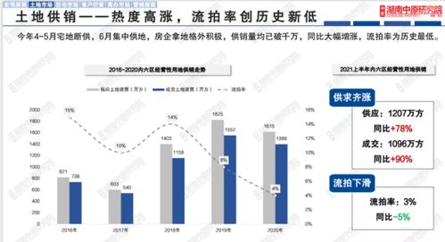 实证探究：商业活动空间范围中的成功案例剖析