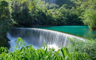黄果树瀑布：水是彳艮大，但人比水还多