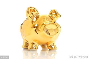 2019年出生的人属什么生肖，这个生肖的命理含义是什么？