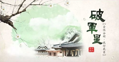 运势趋势解析：结构性变迁与策略选择
