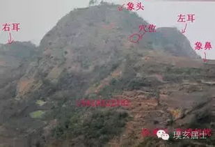 惯与“消砂纳水立向”及针法初探