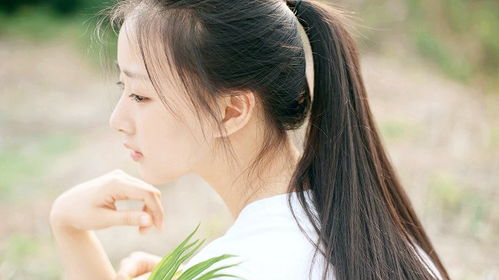 2.1 生肖属性对婚姻模式的影响