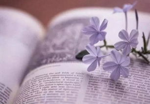 8. 巳蛇年出生者之适应能力与同事式贵人的互补关系