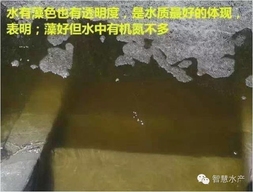 二、七宝检验法