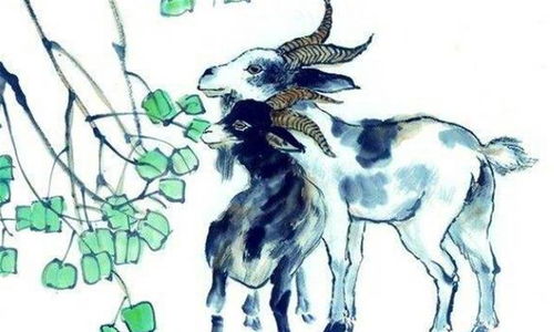 3. 富有文化内涵的名字