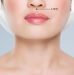 人中的形态特征与个体差异