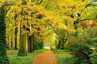 农历七月里阴历七月有哪些黄道吉日？