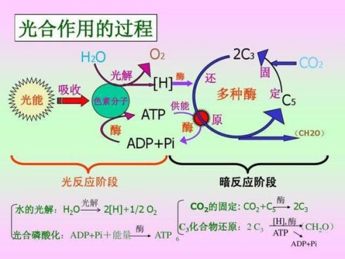 流通與停滯：五行交互作用