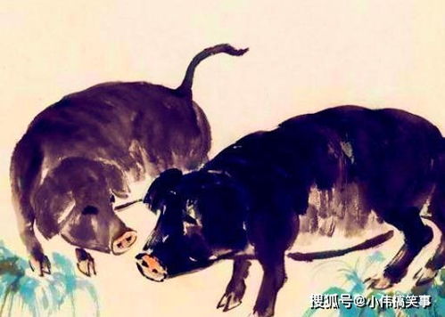 ：现代消费行为与传统择吉文化的深度融合