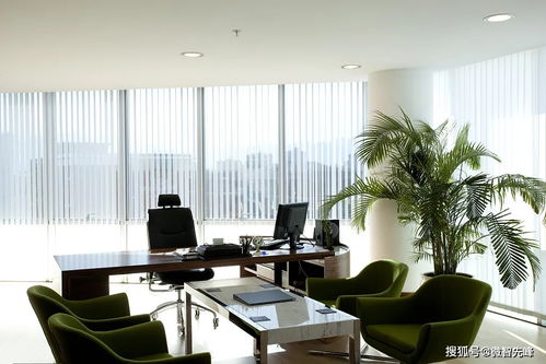 2026年最新风水禁忌大公开