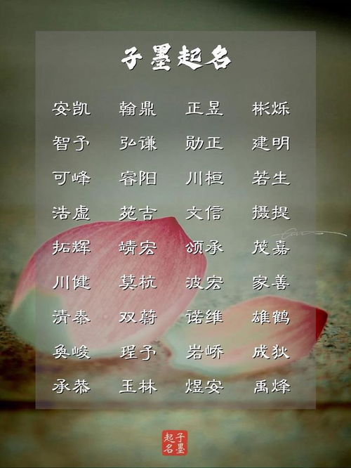 一、 前言——火相男孩起名的“乱世”