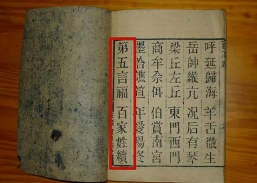 3. 案例解析