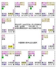一、  核心遗传因素机制的先天决定性与生物逻辑