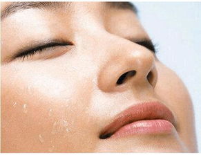 二、  面相学视角下的“肚皮厚”女性特征分析