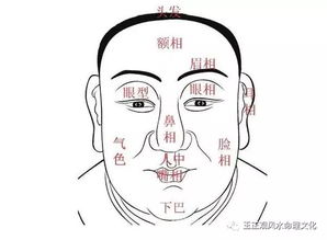 面相中如何堪出一个人拥有大智慧？