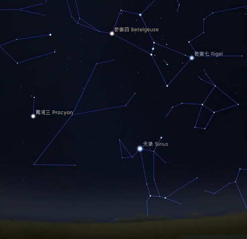 武曲星：对子女倾注无私奉献