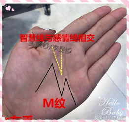（二）感情线岛纹、 分叉及姻缘线增多