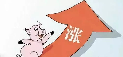 二、 转运策略：多维度的综合调适