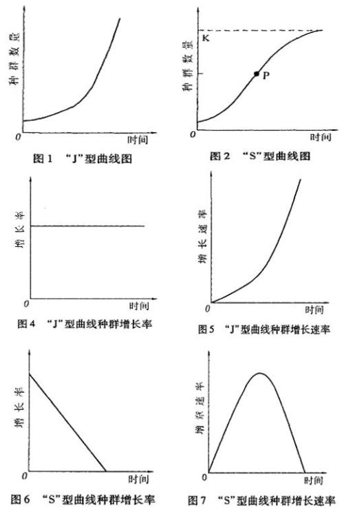 直线型与曲线型的性格分野