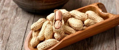 啊啊啊！花生梦居然藏着这么多不为人知的秘密！