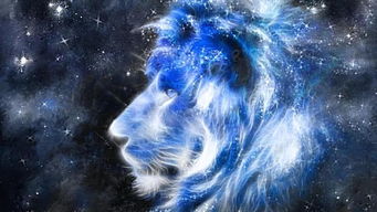 狮子座遇到天龙座，为何会败给哪三位星座呢？