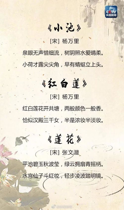 破格解读“寒韵”：一场与常规的告别