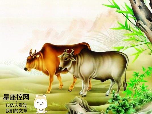 四、 反思：怎样较深化对生肖风水学说的明白