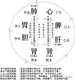 1.1 气的概念及其跨学科阐释