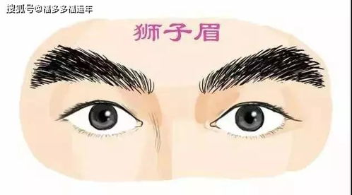 二、 个案：张先生的财运提升之道