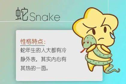 ：生肖相冲与人生关键节点之学术探讨
