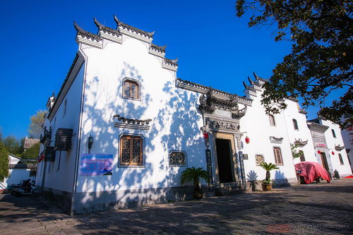 4. 婺州公园：广场舞大妈的主场（以及噪音实验室）