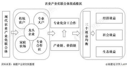 六、 市场与产业概况